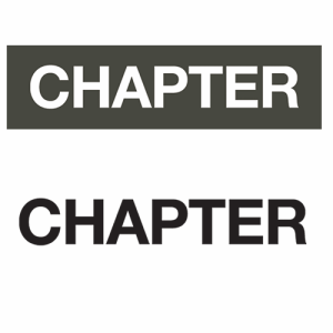 chapter