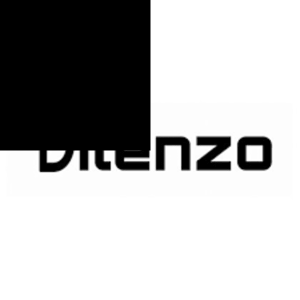 dilenzo