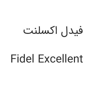 fidel excellent