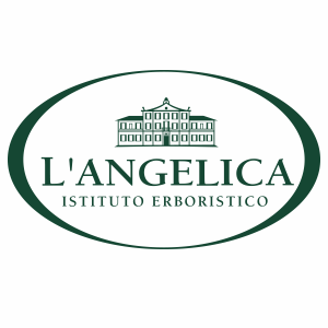 langelica
