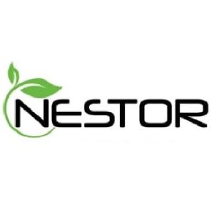 nestor