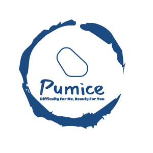 pamis pc