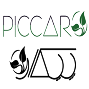piccaro