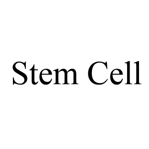stem cell