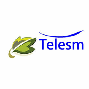 telesm