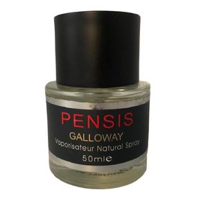 ادو پرفیوم مردانه پنسیس مدل galloway حجم 50 میلی لیتر