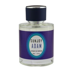 ادوپرفیوم سانجوی مدل adam حجم 100 میلی لیتر