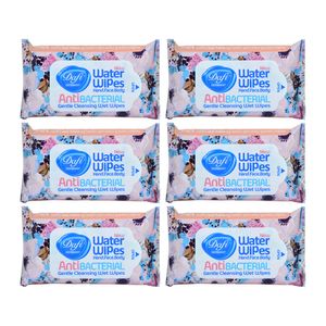 دستمال مرطوب پاک کننده آرایش دافی مدل anti bacterial مجموعه 6 عددی