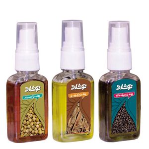 روغن بدن نوشاد مدل arthritis مجموعه 3 عددی