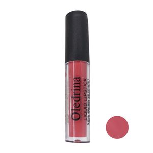 رژ لب مایع اولدرینا مدل super waterproof شماره 607