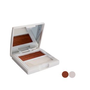 رژ گونه و هایلایتر الستر شماره 04