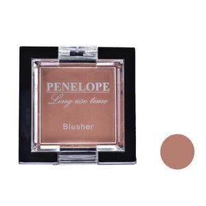 رژ گونه پنه لوپه شماره g901