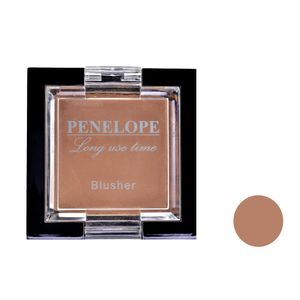 رژ گونه پنه لوپه شماره g902