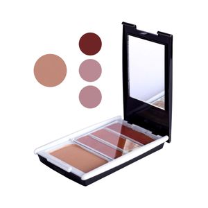 رژگونه و هایلایتر پرامیننت کد b03