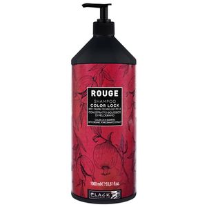 شامپو تثبیت کننده رنگ مو بلک پروفشنال لاین مدل color protect حجم 1000 میلی لیتر