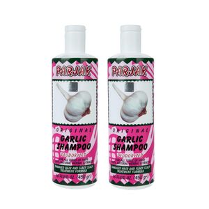 شامپو تقویت کننده مو پرژک مدل gh وزن 450 گرم بسته 2 عددی