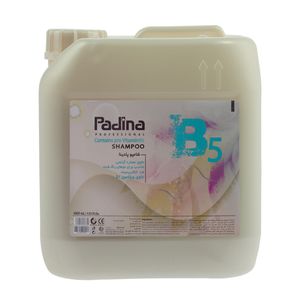 شامپو مو پادینا مدل provitamin2 حجم 4000 میلی لیتر
