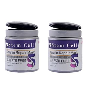 ماسک مو استم سل مدل 5in1 حجم 500 میلی لیتر بسته 2 عددی