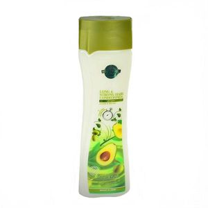 نرم کننده مو هالیوود استایل مدل avocado and olive mix حجم 355 میلی لیتر