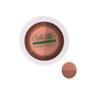 هایلایتر و کانتورینگ کاکتوس شماره 41
