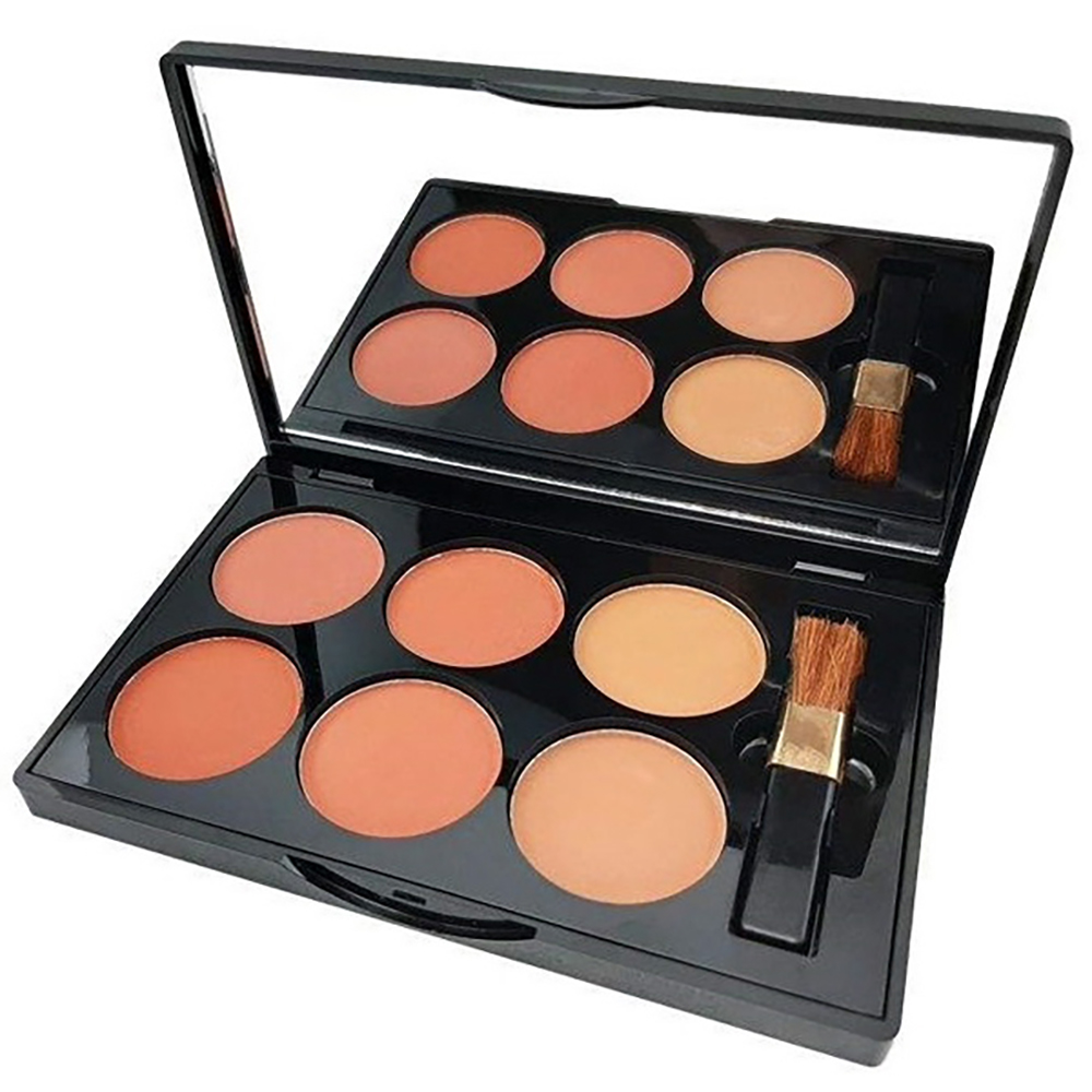 پالت رژ گونه دی سیل مدل 6in1 شماره a
