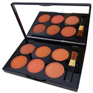 پالت رژ گونه دی سیل مدل 6in1 شماره b