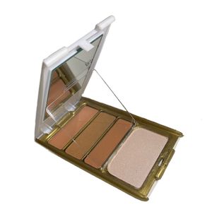 پالت رژ گونه و هايلايتر فايو استار مدل x3 شماره 21