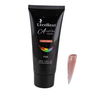 پلی ژل کاشت ناخن اکسلنت مدل p09 حجم 60 میلی لیتر