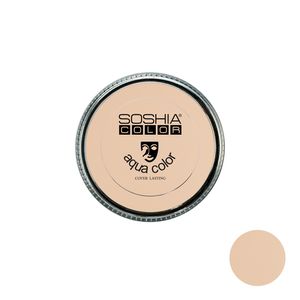 پنکیک سوشیا شماره t 120