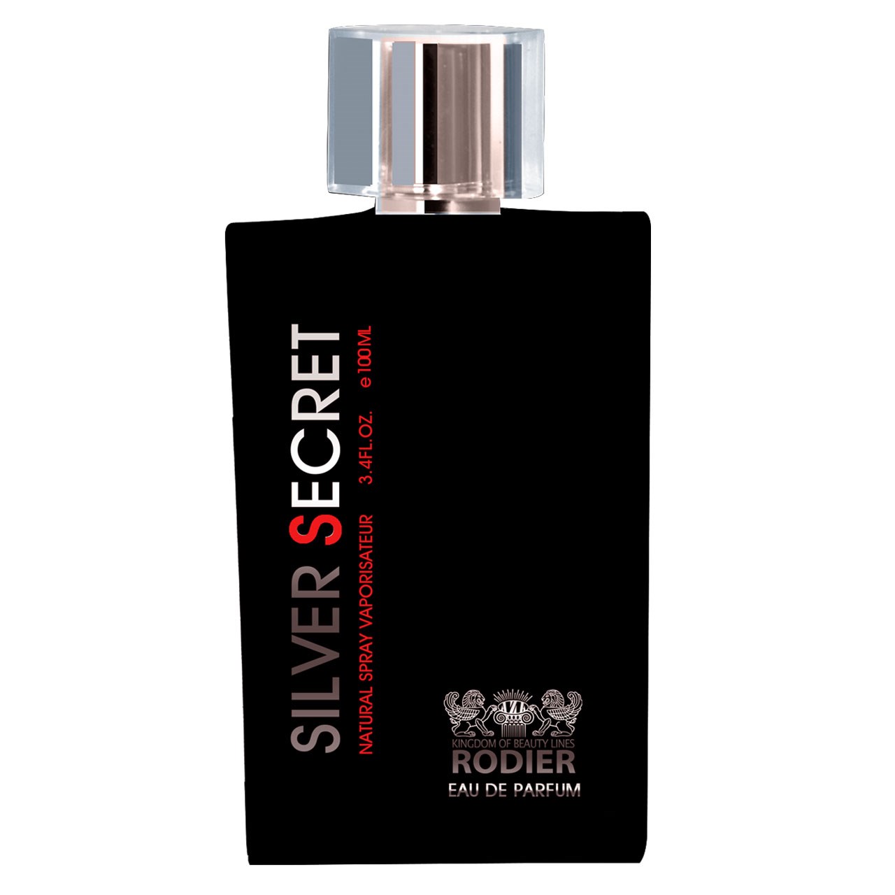 ادو پرفیوم مردانه رودیر مدل silver secret حجم 100 میلی لیتر