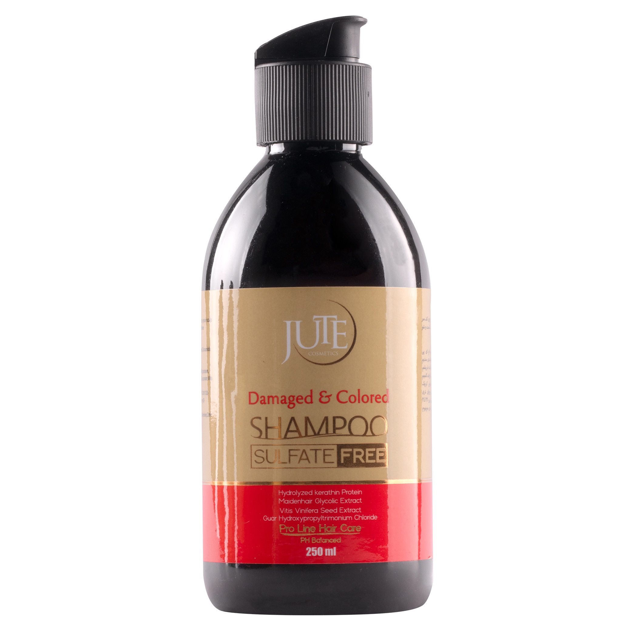 شامپو تثبیت کننده رنگ مو ژوت مدل sulfate free حجم 250 میلی لیتر