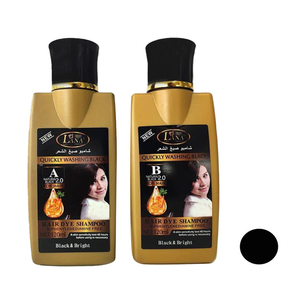 شامپو رنگ مو لانا مدل w_dye حجم 120 میلی لیتر رنگ مشکی مجموعه 2 عددی