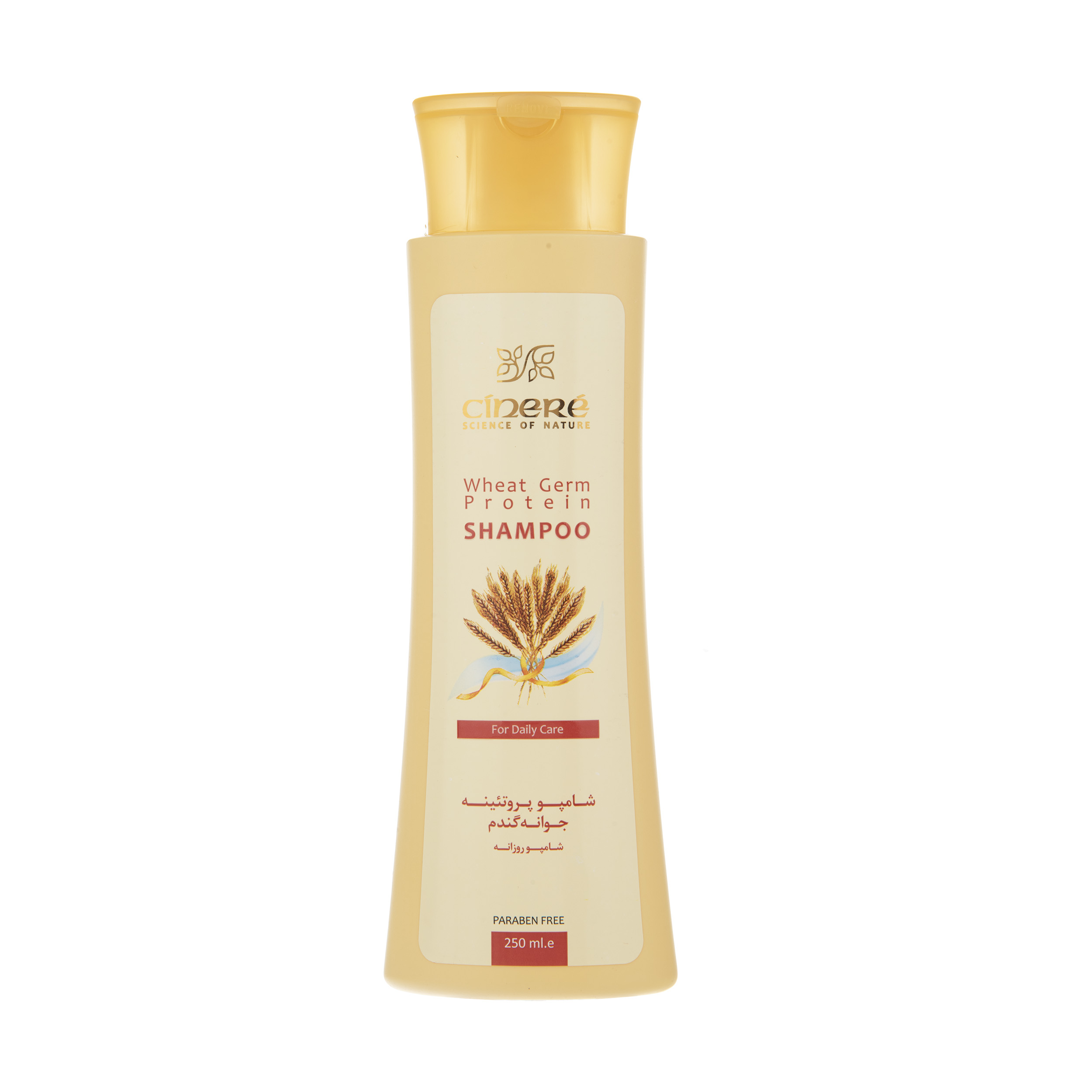 شامپو مو سینره مدل wheat germ حجم 250 میلی لیتر