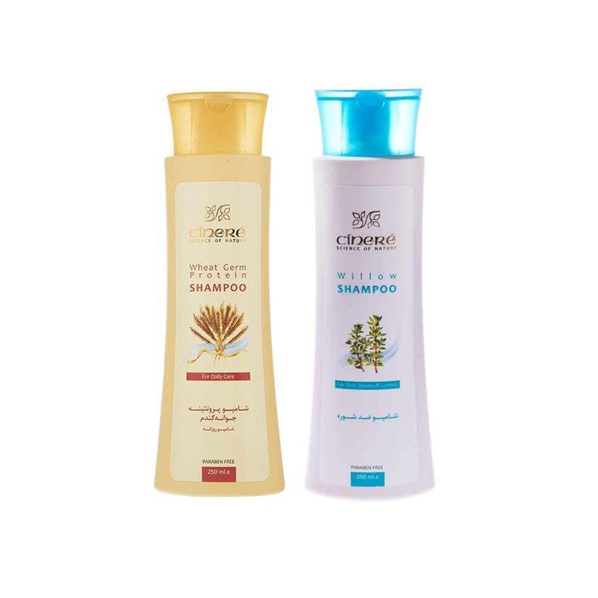 شامپو مو سینره مدل جوانه گندم حجم 250 میلی لیتر به همراه شامپو مو سینره مدل anti dandruff willow
