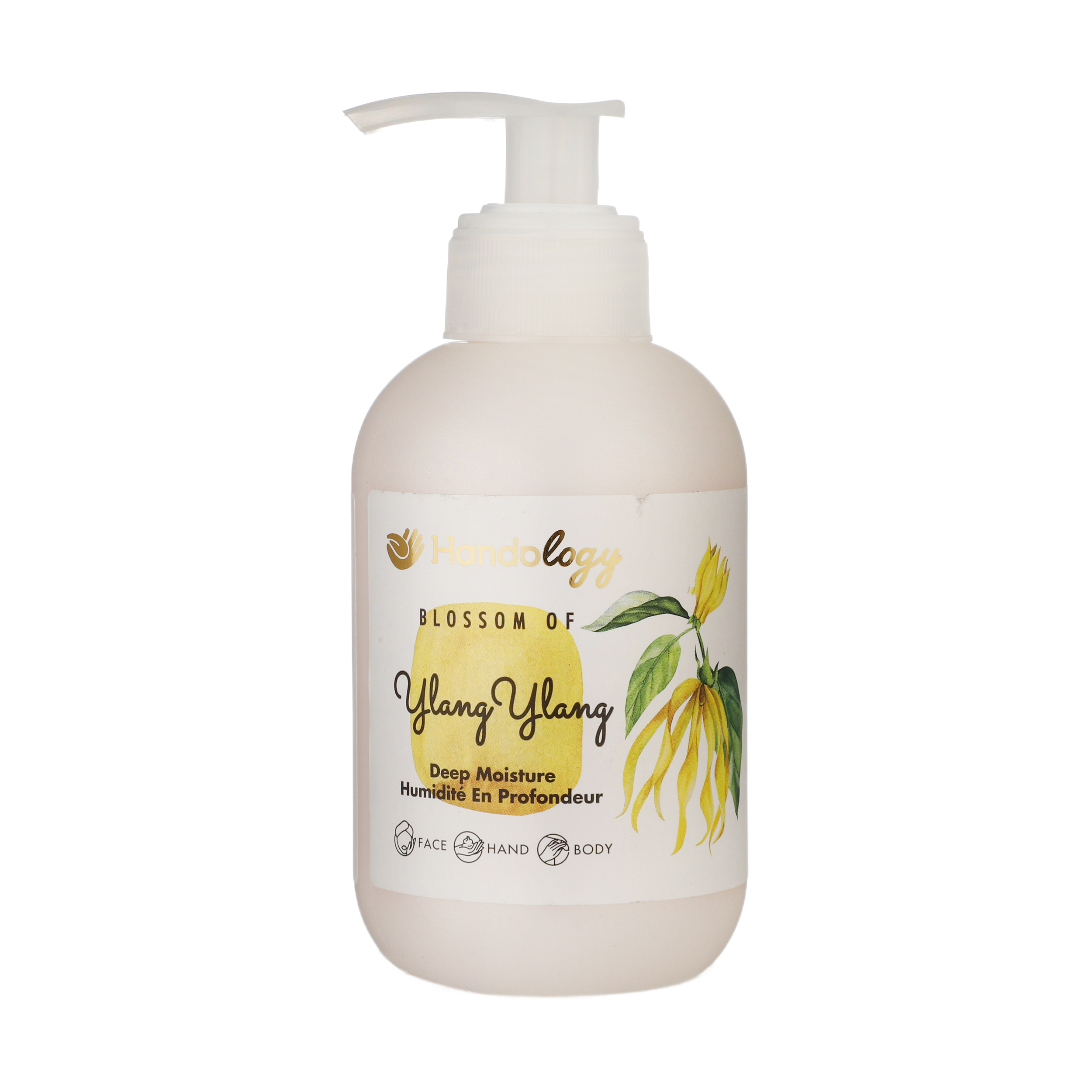 کرم مرطوب کننده هندولوژی مدل ylang ylang حجم 230 میلی لیتر